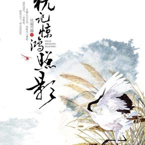犹记惊鸿照影