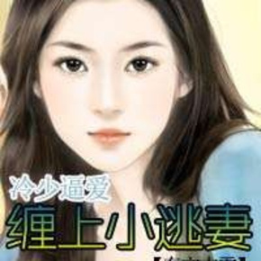 追爱小逃妻