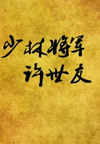 少林将军许世友(100回)
